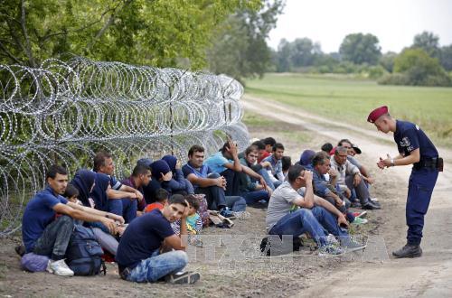 EPអនុម័តលើថវិការបំពេញបន្ថែមចំនួន៤០០លានអឺរ៉ូដោះស្រាយបញ្ហាជនអន្តោប្រវេសន៍